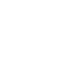 White Twitter Icon