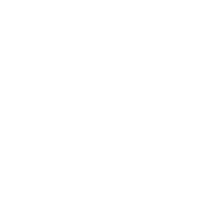 White LinkedIn Icon